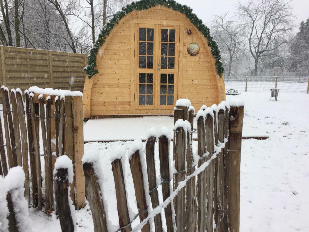 Het Koningshofje Bed & Breakfast NeerNeerpelt Dış mekan fotoğraf