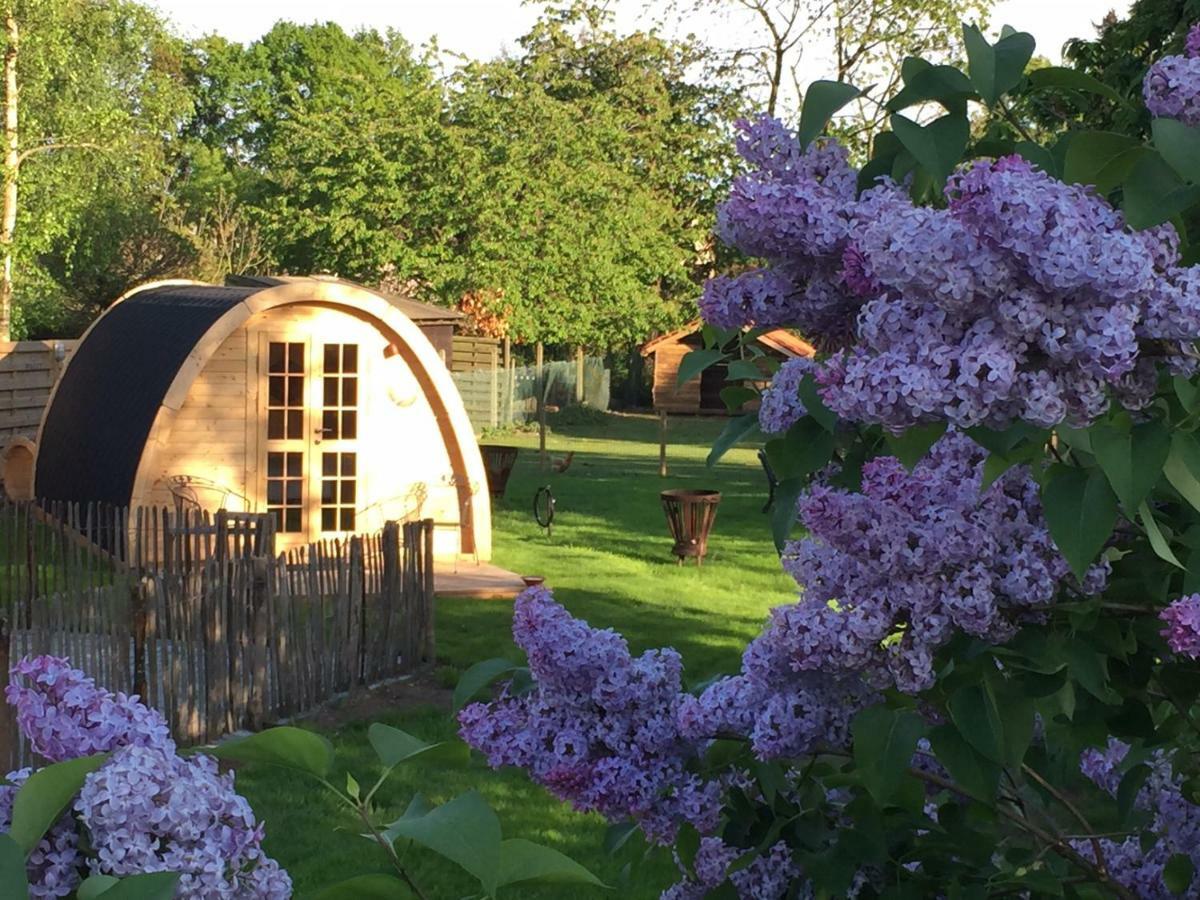 Het Koningshofje Bed & Breakfast NeerNeerpelt Dış mekan fotoğraf